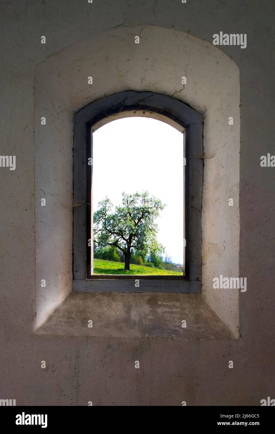 Blick durch ein altes verwittertes Fenster auf eine Wiese mit bluehenden Obstbaum, Mondseeland, Salzkammergut, Oberoesterreich, Oesterreich Foto Stock