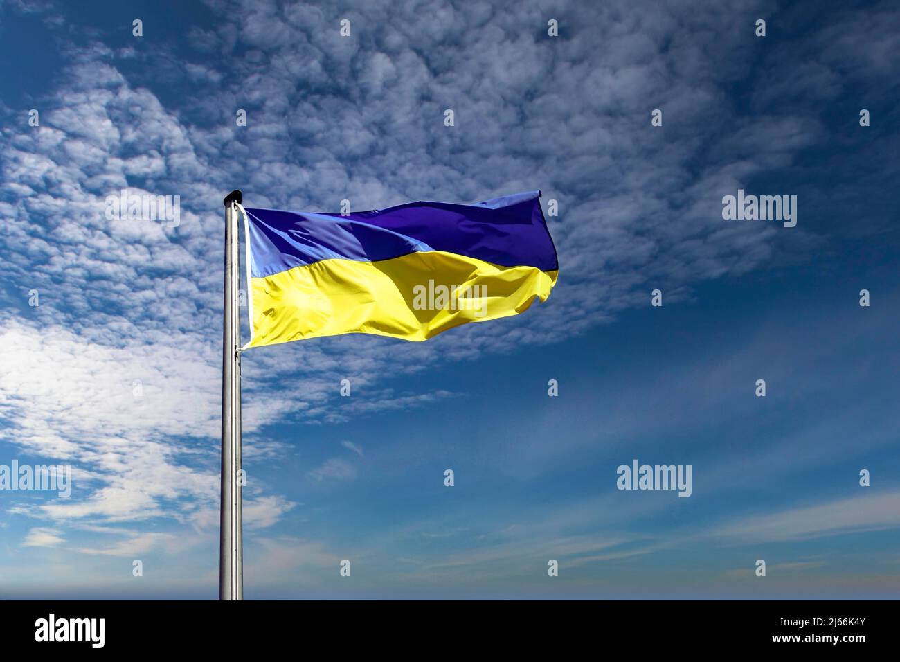 Fahne der Ukraine flattert im Wind, Berlino, Germania Foto Stock