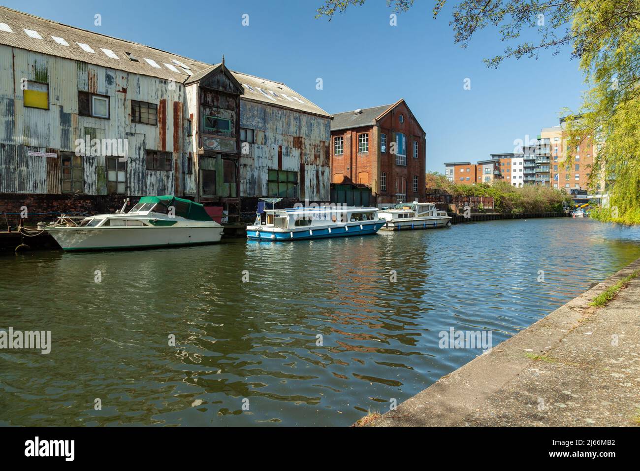 Pomeriggio di primavera sul fiume Wensum a Norwich, Norfolk, Inghilterra. Foto Stock