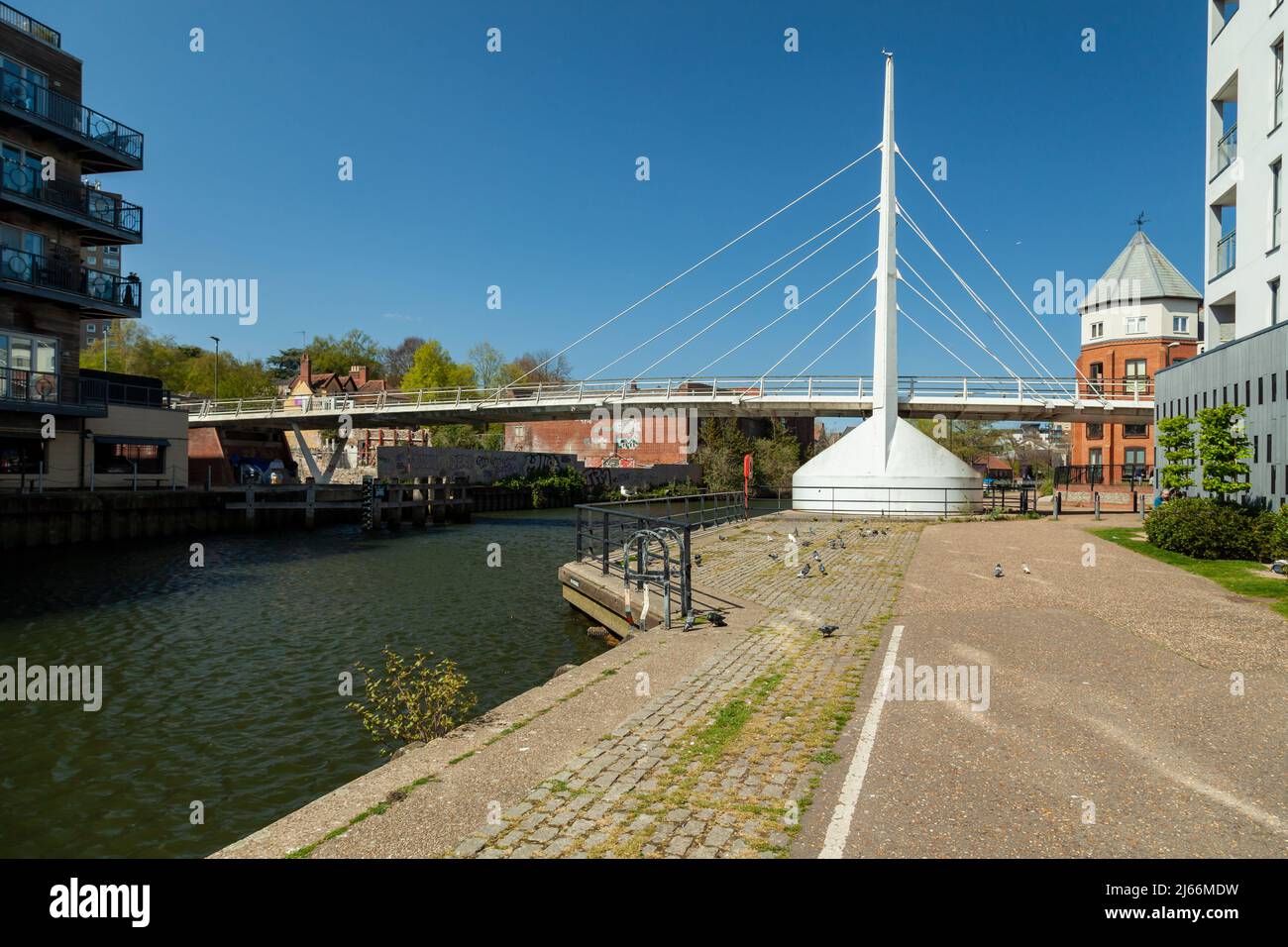 Pomeriggio di primavera al ponte dell'amicizia Novi Sad, sul fiume Wensum a Norwich, Norfolk, Inghilterra. Foto Stock