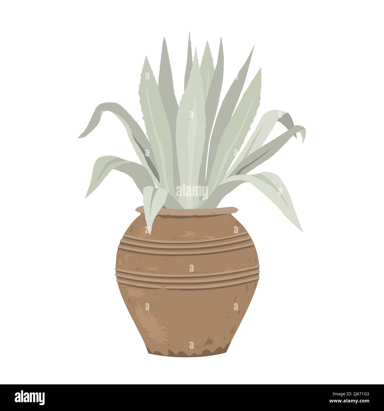 Agave blu in una pentola di fiori di stile antico, illustrazione vettoriale piatta. Giardino in vaso di piante Meditteranee. Illustrazione Vettoriale