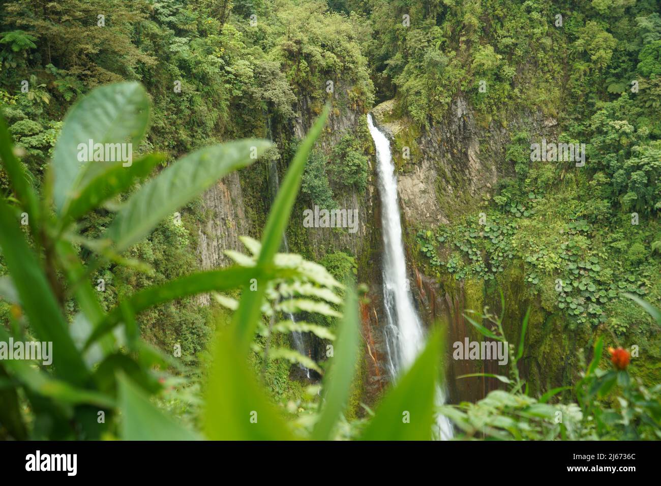 Cascata di Bajos del Toro del drone del Costa Rica Foto Stock