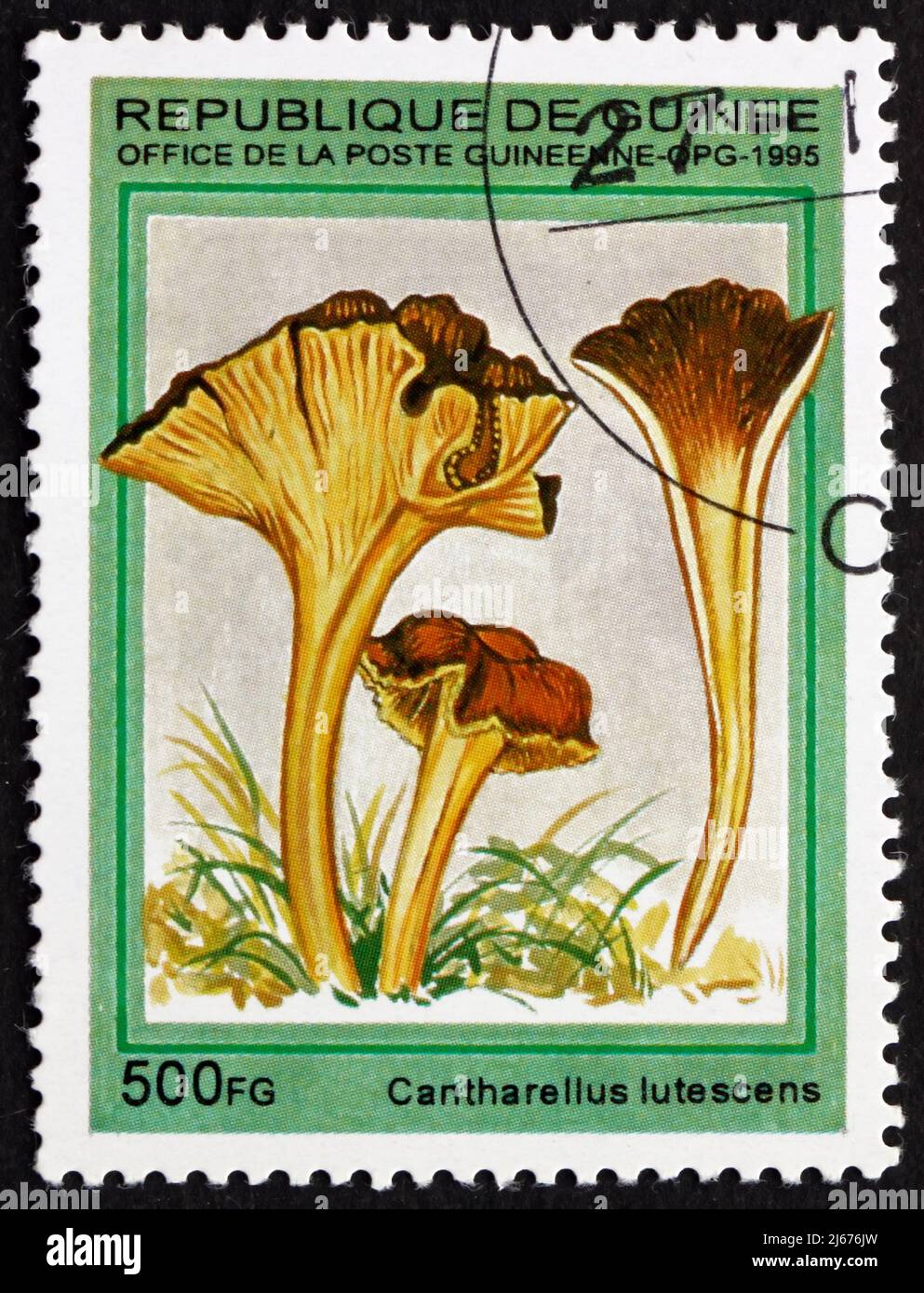 GUINEA - CIRCA 1995: Un francobollo stampato in Guinea mostra piede giallo, Cantarellus Lutescens, funghi, circa 1995 Foto Stock