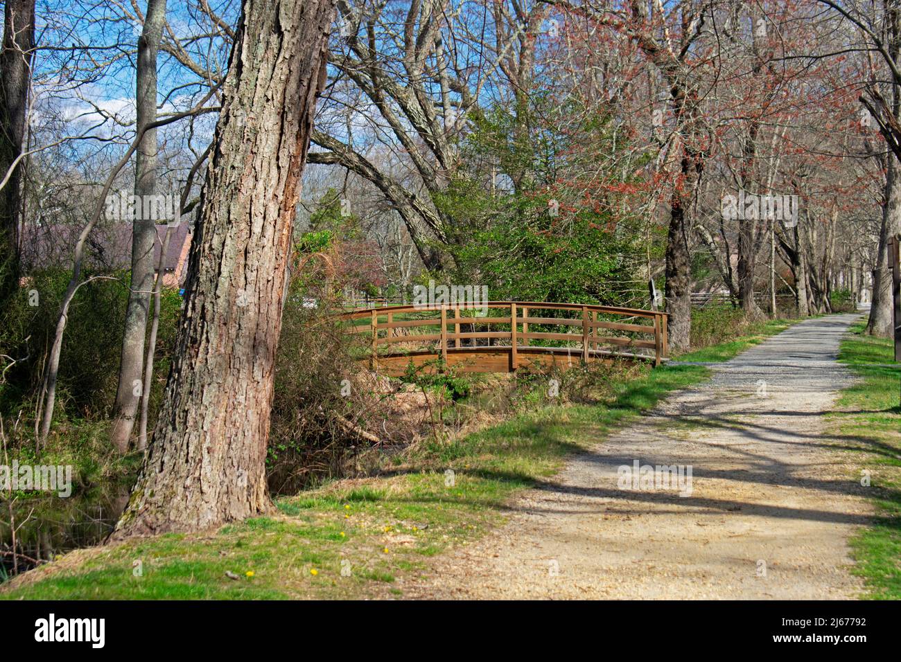 Ponte pedonale sul sentiero natura in Allaire state Park, New Jersey, come la primavera inizia a prendere il -05 Foto Stock