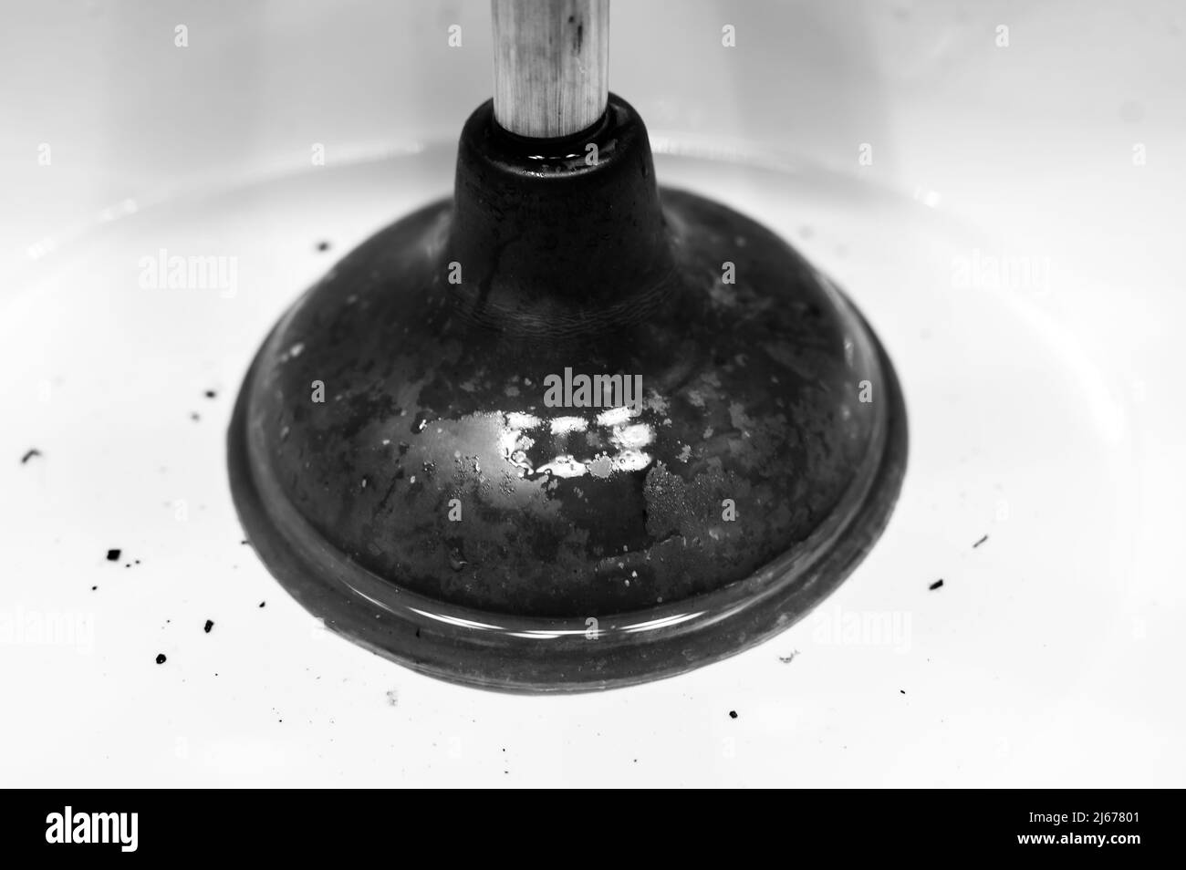 Usando uno stantuffo su un lavandino della stanza da bagno tappato con i capelli e lo Scrum in una piscina di acqua stagnante in piedi. Foto Stock