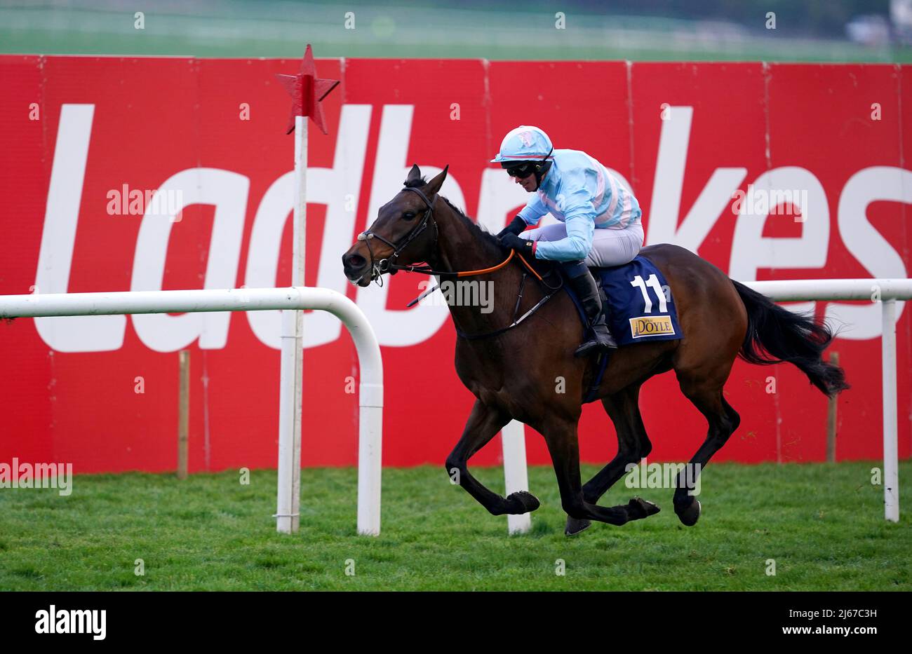 Tag Man cavalcato da jockey David Roche vince la JP & M Doyle festeggiando 70 anni in Business (C&G) Flat Race il terzo giorno del Punchestown Festival all'ippodromo di Punchestown nella contea di Kildare, in Irlanda. Data foto: Giovedì 28 aprile 2022. Foto Stock