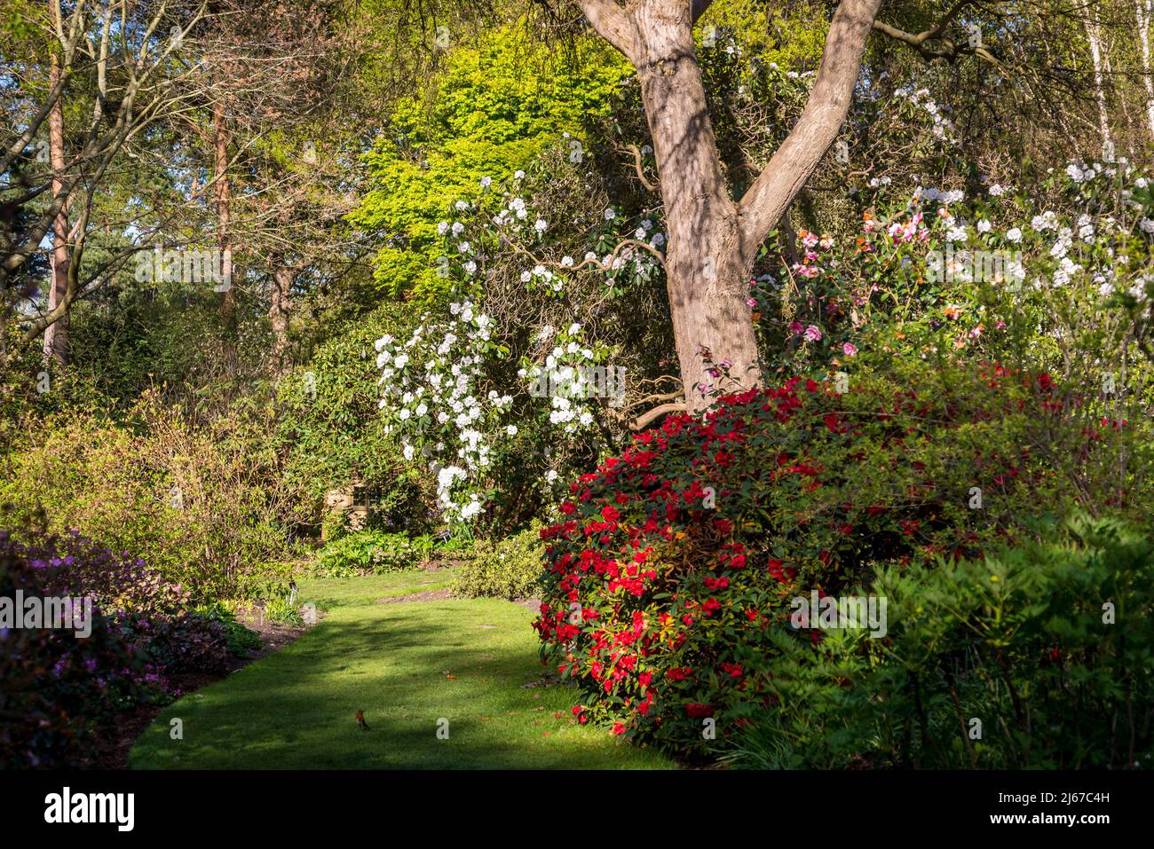 Battleston Hill, Wisley Garden, Surrey, Inghilterra, Regno Unito Foto Stock