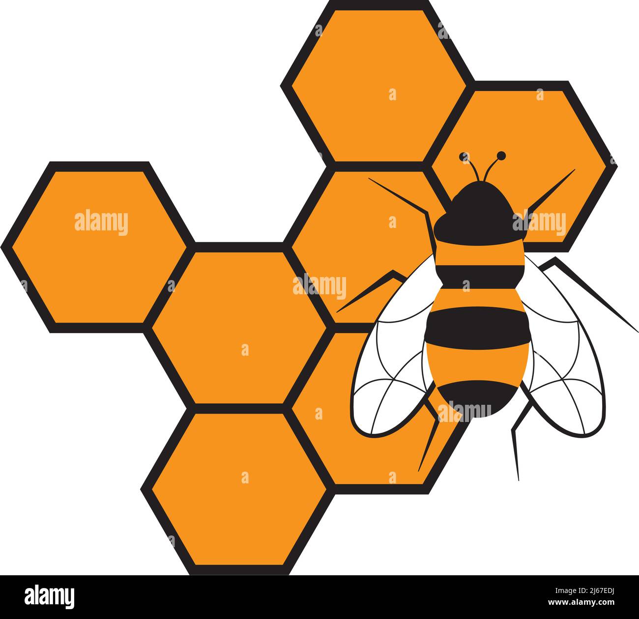 Immagine a nido d'ape e ape isolata su sfondo bianco Illustrazione Vettoriale