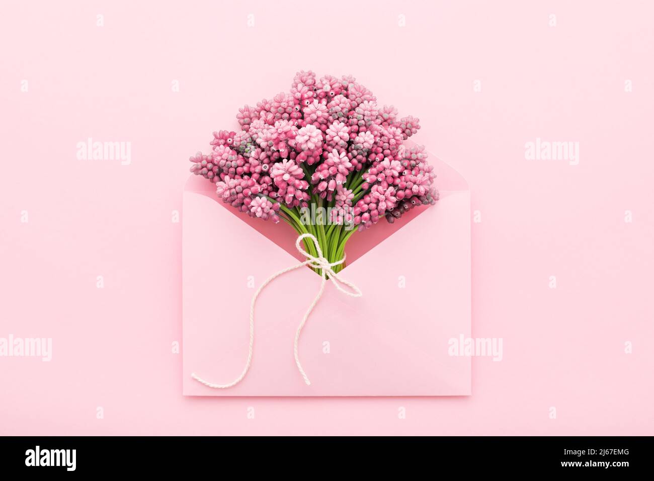 Bouquet di fiori di primavera in una busta rosa. Festa della mamma, compleanno, Femminile. Disposizione piatta, minima. Foto Stock