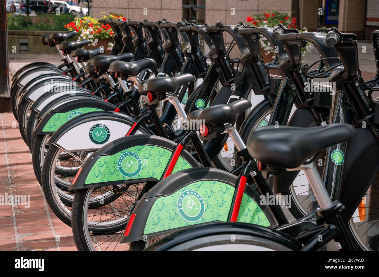 Biciclette da condividere schierate in una stazione di noleggio biciclette. In molte ciries intorno al mondo la condivisione della bici è diventata un'alternativa più sana e avida alla guida Foto Stock