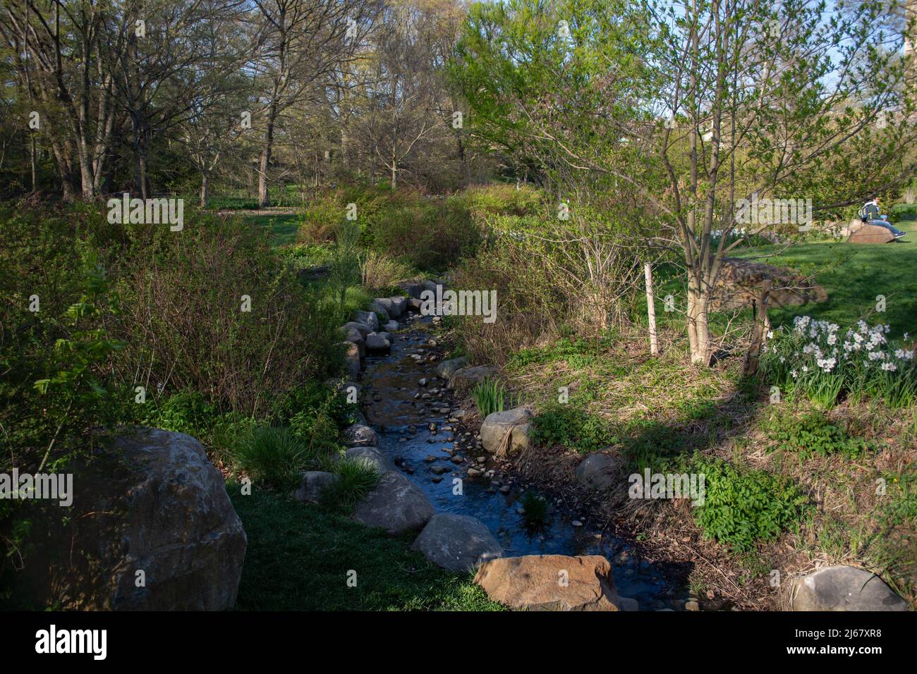 Brooklyn Botanic Garden Primavera 2022 Foto Stock