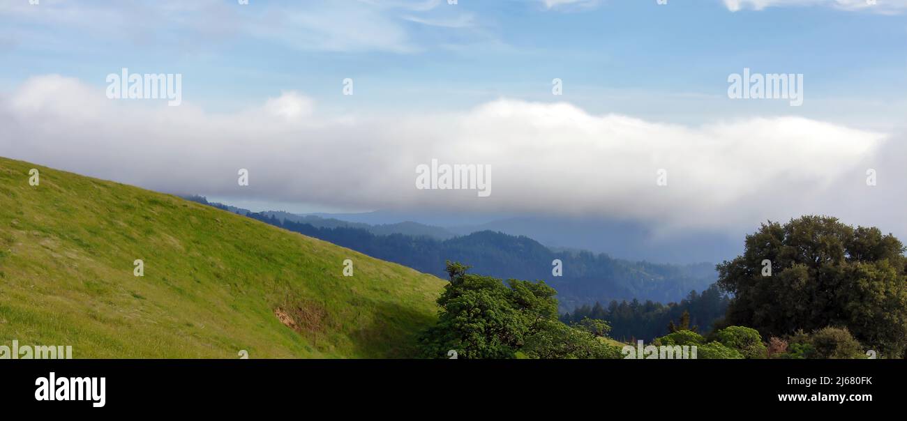 Viste panoramiche delle montagne di Santa Cruz in Springtime attraverso la Russian Ridge Preserve nella contea di San Mateo, California, USA. Foto Stock