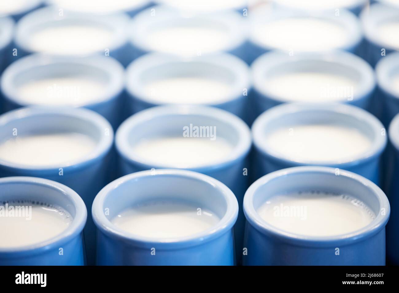 Vasetti di latte pronti per la maturazione e la trasformazione in yogurt. Il processo di produzione di yogurt fatto in casa. Vista frontale. Foto Stock