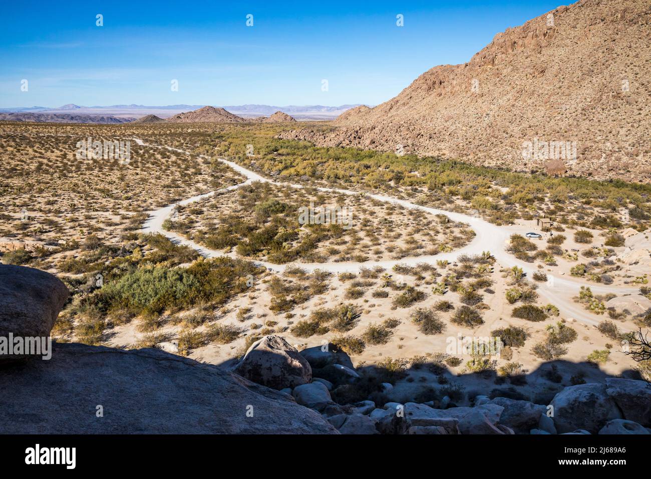 La circle Drive e l'area parcheggio / trailhead per l'area di uso giornaliero del Rattlesnake Canyon, il Joshua Tree National Park. Foto Stock
