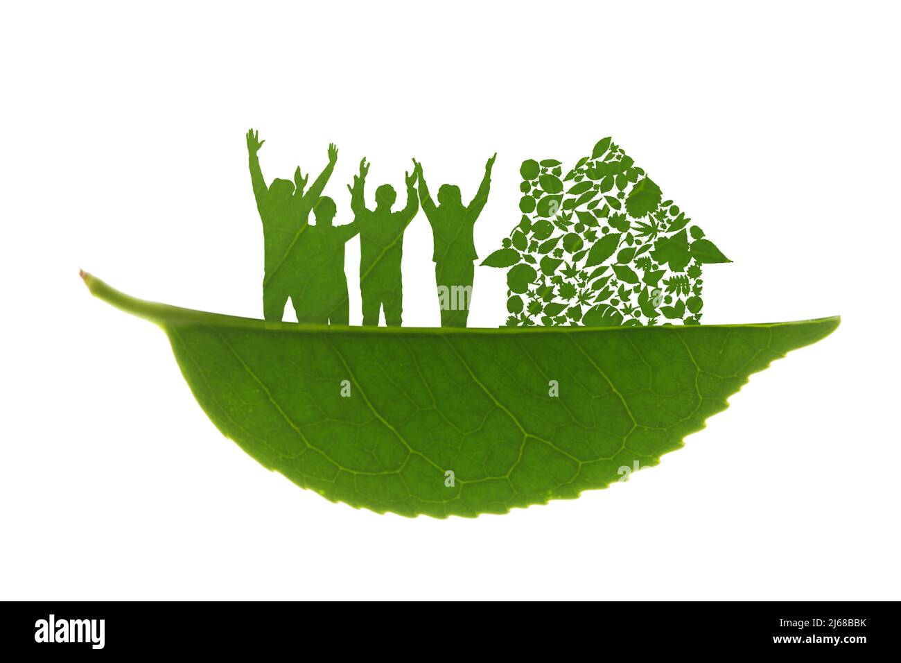 Vita creativa verde Foto Stock