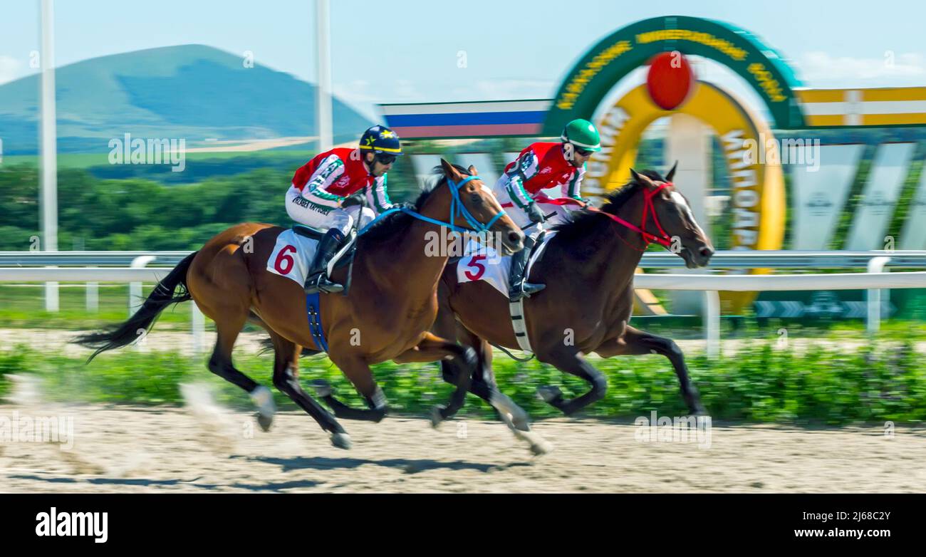 Corsa di cavalli per il premio Big Summer, Russia. Foto Stock