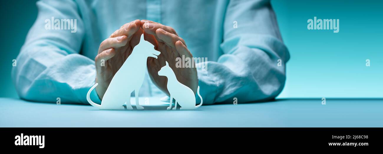 Responsabilità per cani e gatti e copertura sanitaria Foto Stock