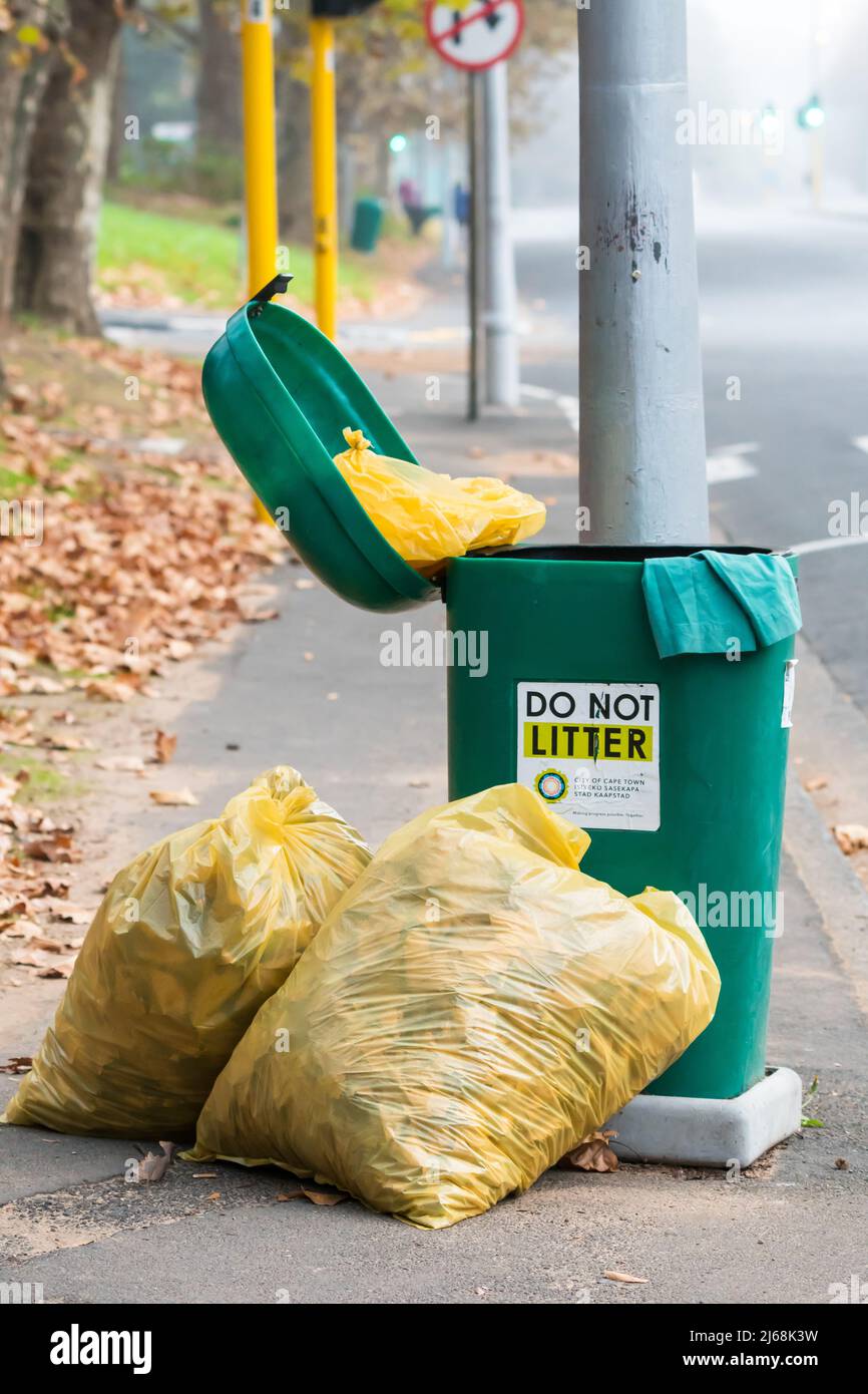 Sacchi di rifiuti gialli pieni di foglie d'autunno morte che giacciono accanto ad un bidone aperto della lettiera o bidone della spazzatura su un concetto di strada ambiente pulito, tempo, stagioni Foto Stock