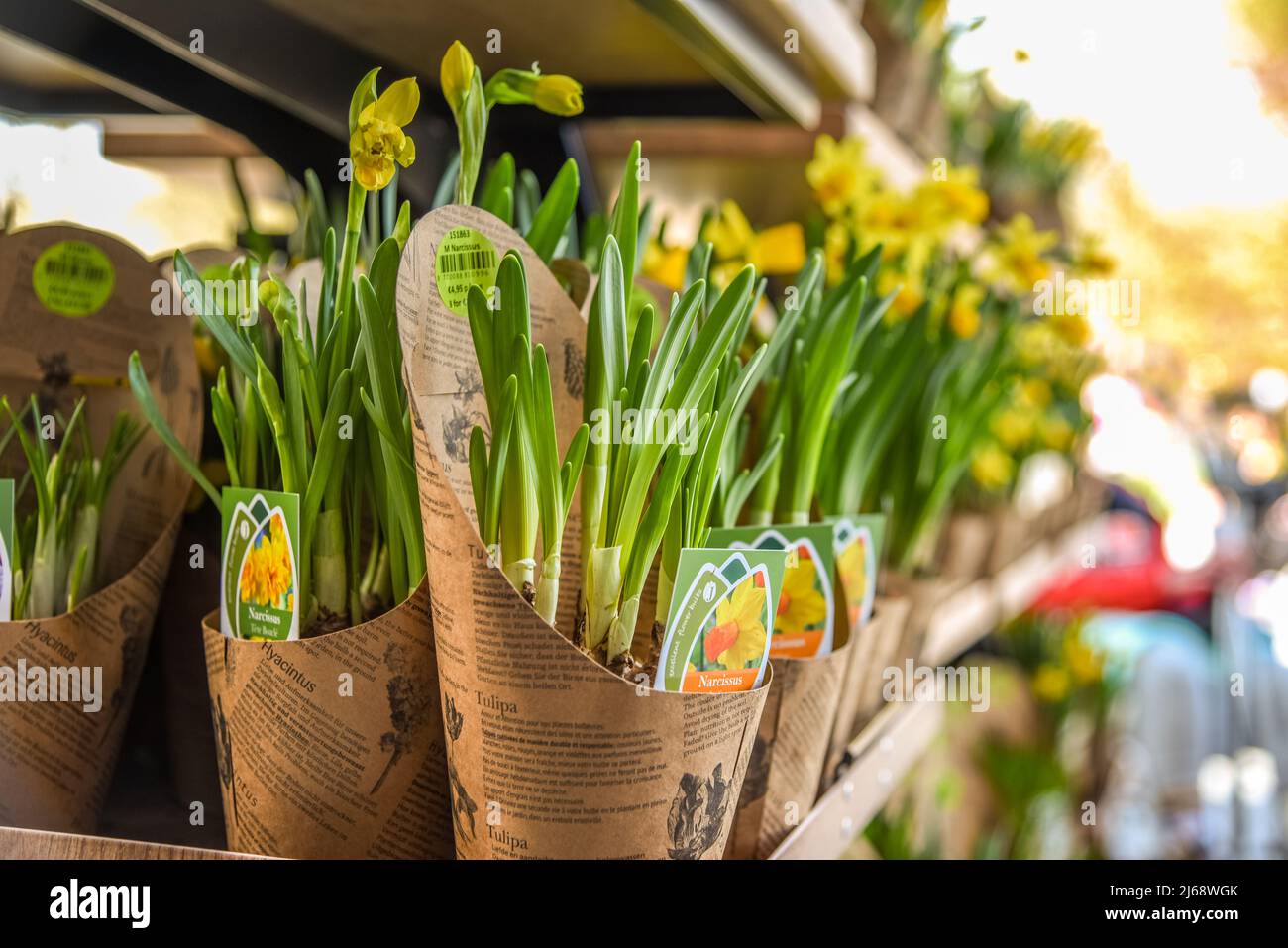 Lisse, Paesi Bassi, aprile 2022. Zoccoli e tulipani in legno, souvenir dell'Olanda. Foto di alta qualità Foto Stock