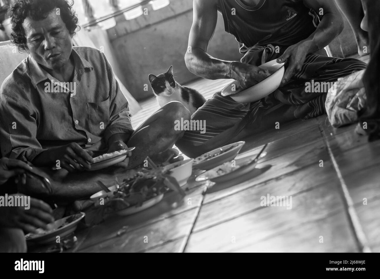Un gatto in attesa di qualche sfridi di cibo da un gruppo di uomini che mangiano. Thailandia Foto Stock