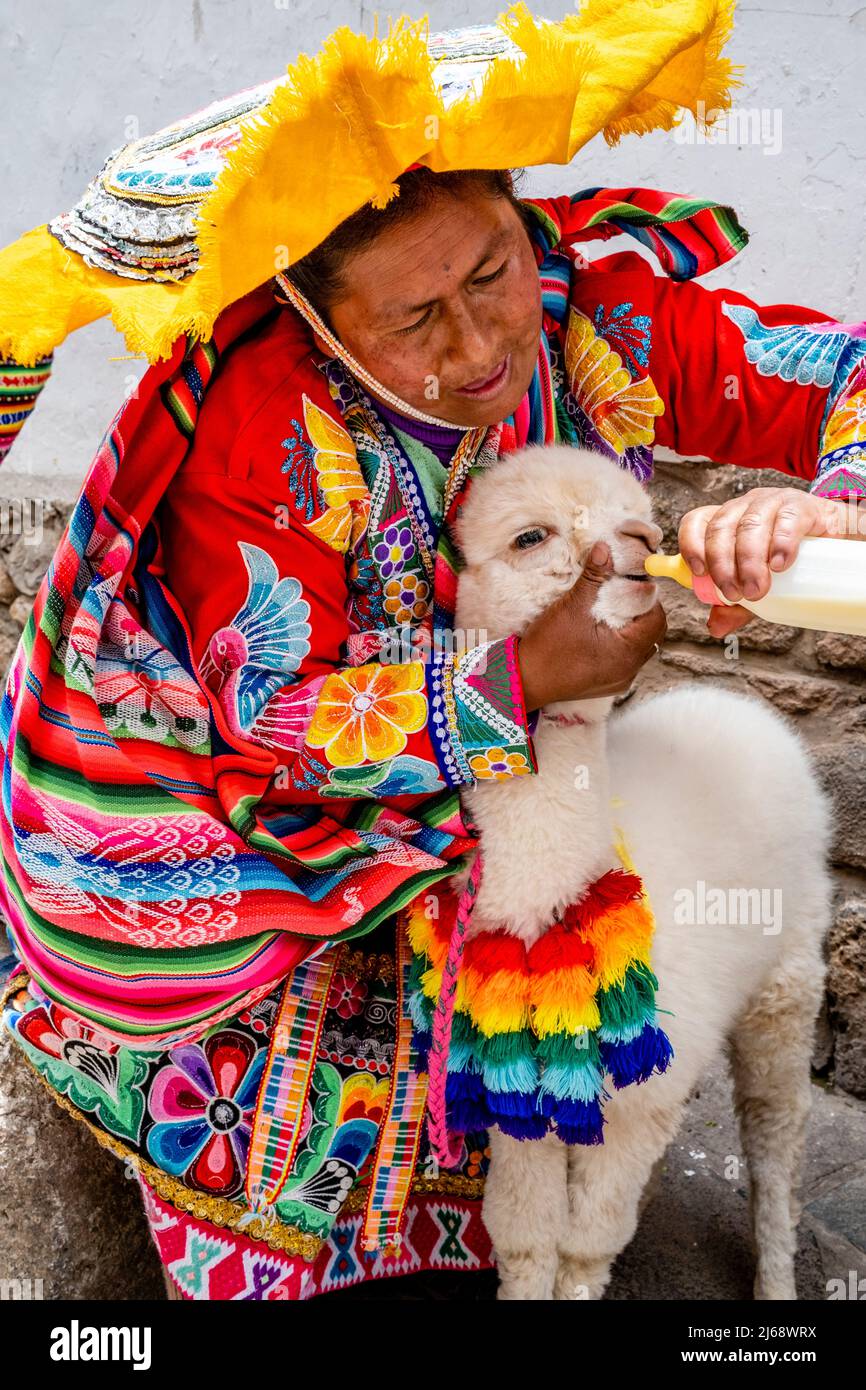 Una donna indigena in costume tradizionale alimenta il suo animale domestico Alpaca del latte imbottigliato nella zona di San Blas di Cusco, provincia di Cusco, Perù. Foto Stock