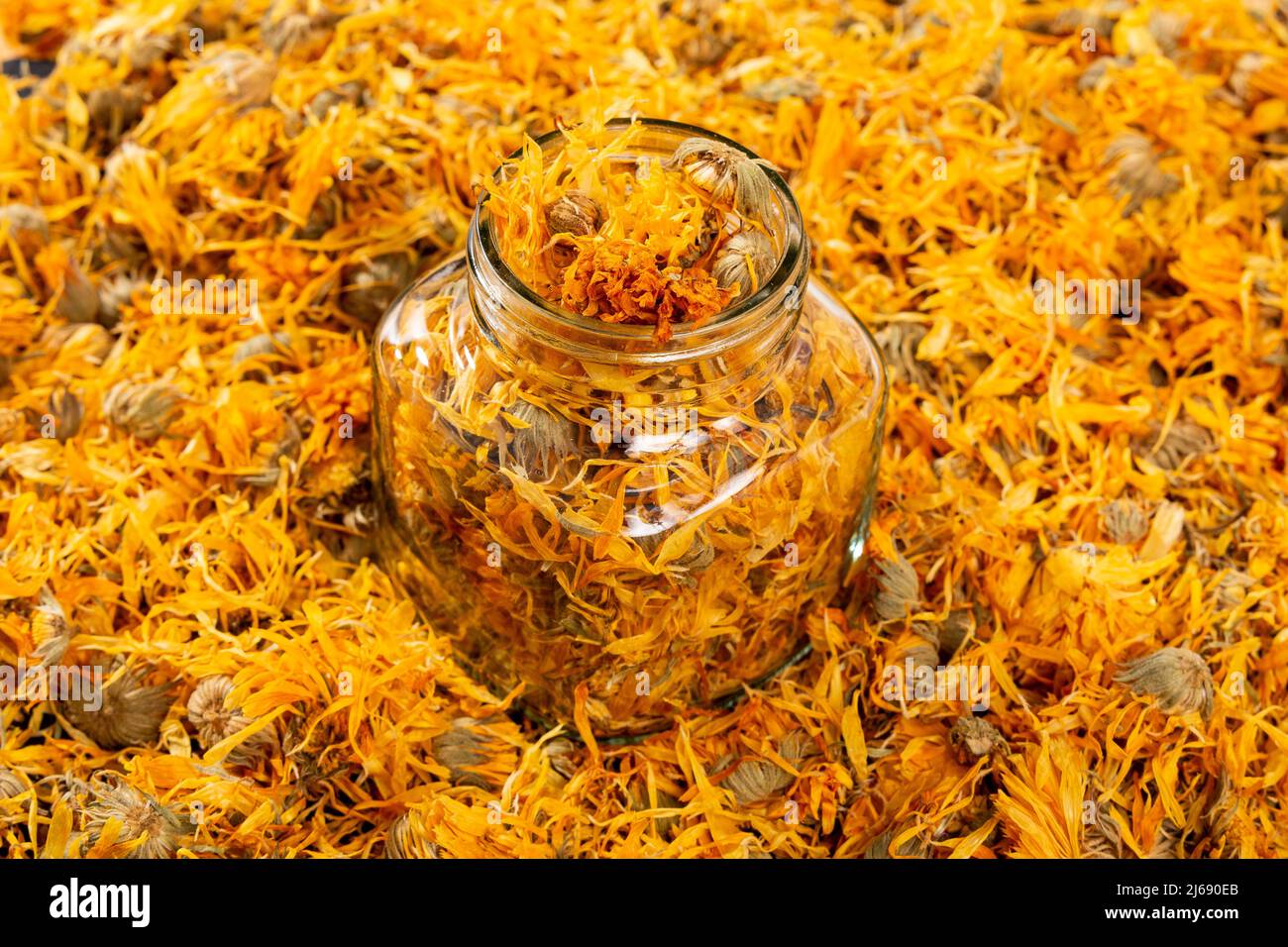 Caléndula officinalis Hierba Asterácea - fiori di calendula essiccati Foto Stock