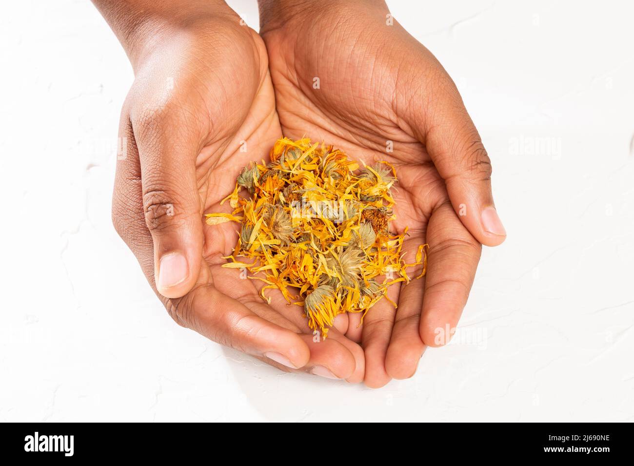 Maschio mani in mano essiccate Calendula Fiori - Calendula officinalis Foto Stock