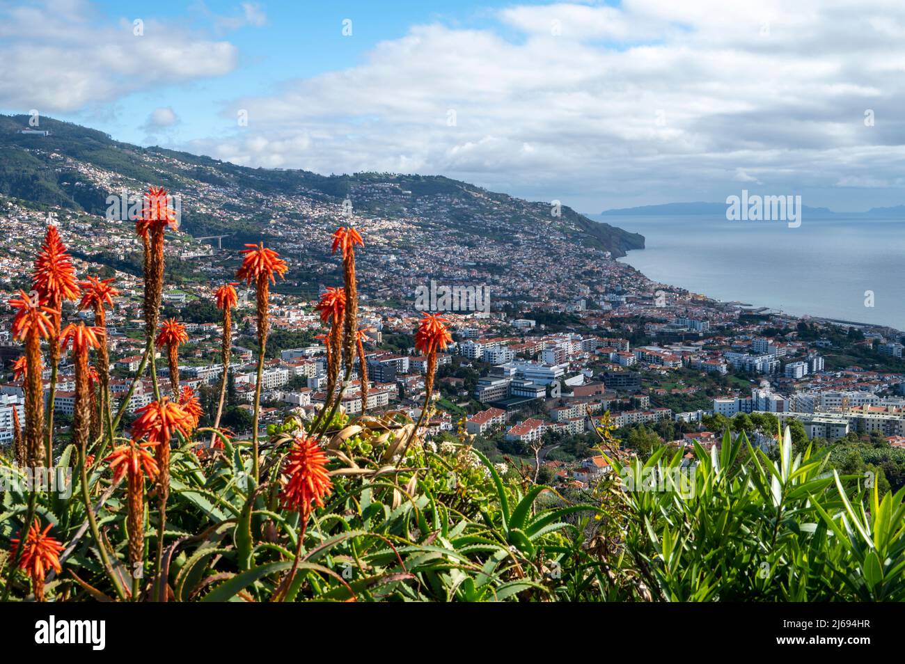 Vista sopraelevata della città, Funchal, Madeira, Portogallo, Atlantico, Europa Foto Stock