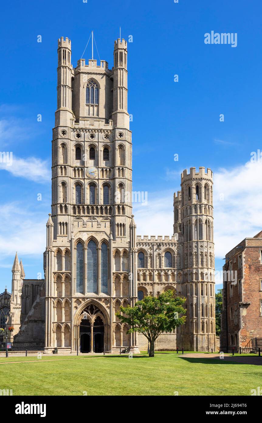 Ely Cattedrale (Chiesa Cattedrale della Santissima e indivisa Trinità) da Palace Green, Ely, Cambridgeshire, Inghilterra, Regno Unito Foto Stock