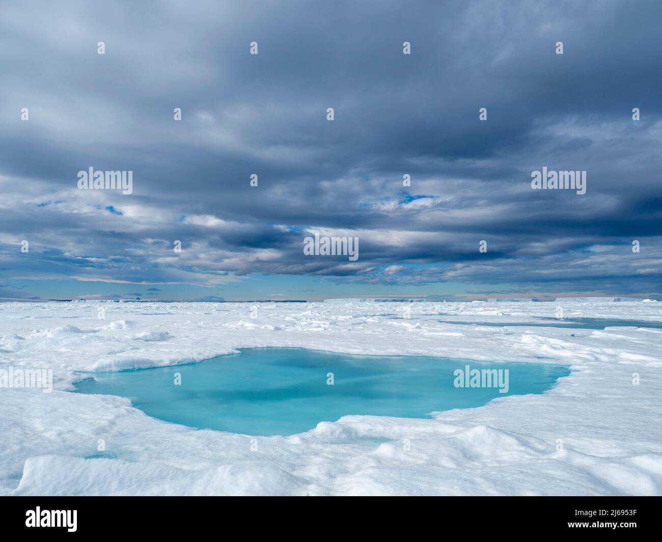 Una piscina d'acqua fusa sul primo anno di ghiaccio marino vicino a Snow Hill Island, Weddell Sea, Antartide, Polar regioni Foto Stock