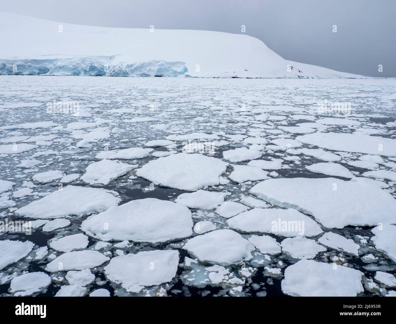 Ghiaccio marino che si forma quando la temperatura scende vicino Pleneau Island, Antartide, regioni polari Foto Stock