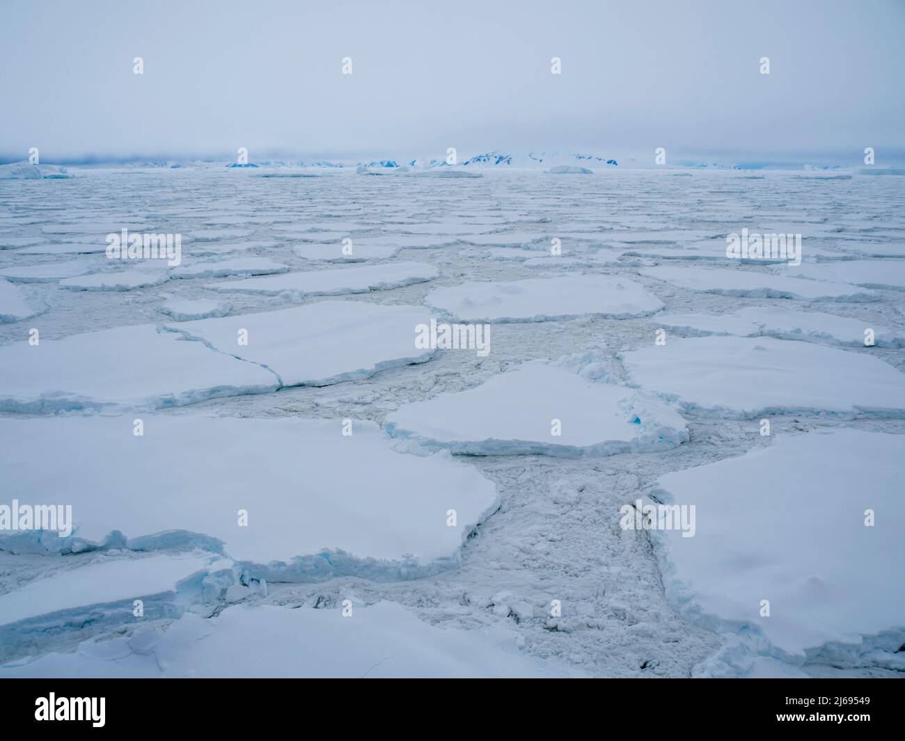 Tempo tempestoso sopra ghiaccio del pacchetto ed iceberg vicino l'isola di Adelaide, l'Antartide, le regioni polari Foto Stock