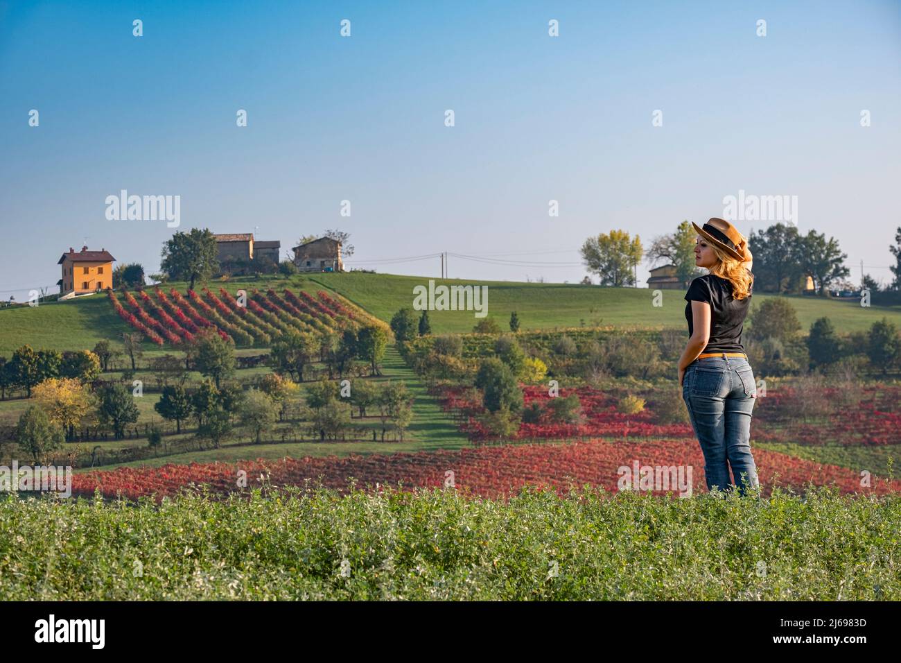 Giovane donna con capelli biondi che indossa un cappello che guarda una collina coperta da vigneti rossi in autunno, Emilia Romagna, Italia, Europa Foto Stock