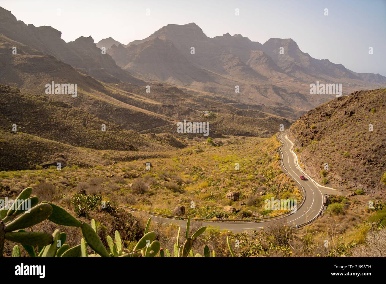 Vista della strada e della flora in paesaggio montagnoso vicino a Tasarte, Gran Canaria, Isole Canarie, Spagna, Atlantico, Europa Foto Stock