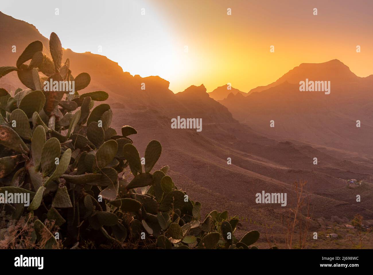 Vista della flora in paesaggio montagnoso durante l'ora d'oro vicino a Tasarte, Gran Canaria, Isole Canarie, Spagna, Atlantico, Europa Foto Stock