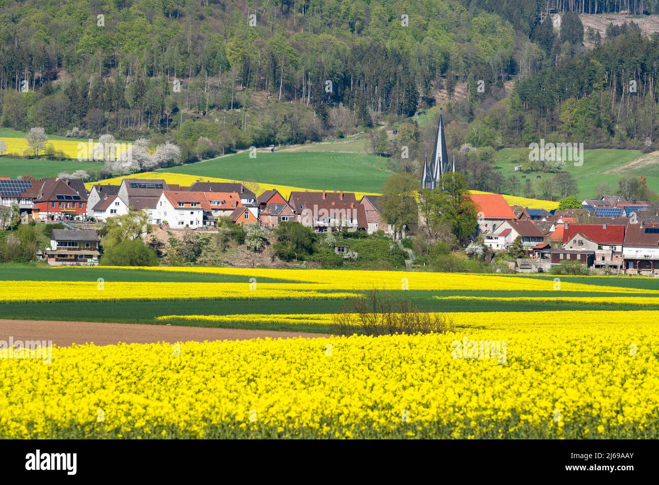 Vista di Bodenfelde; distretto di Northeim; bassa Sassonia; Germania; Europa Foto Stock