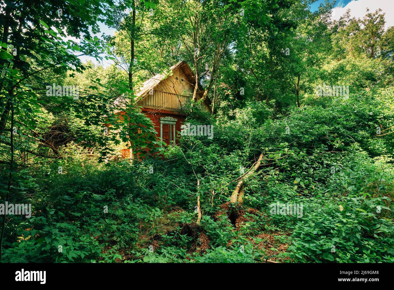 Casa abbandonata coltivata a alberi e vegetazione nella zona di reinsediamento di Chernobyl. Catastrofi di Chornobyl. Parlamento dilapidato in Bielorussia Foto Stock