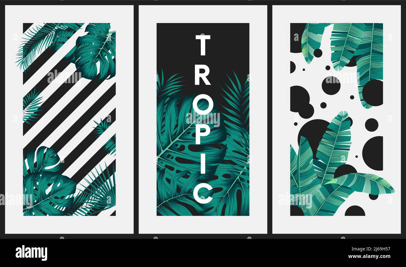 Immagini creative con foglie tropicali sullo sfondo di strisce e cerchi, illustrazione per invito di superficie, banner, poster, cartoline, vettore Illustrazione Vettoriale