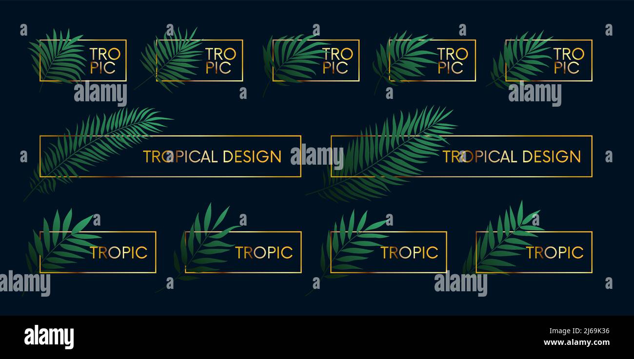 Cornici dorate di lusso con piante tropicali e rami di palma, elementi vettoriali con spazio per il testo Illustrazione Vettoriale