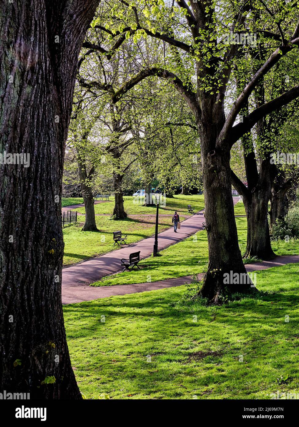 Lovers' Walk e Cotham Gardens a Redland Bristol UK in una soleggiata mattinata primaverile Foto Stock