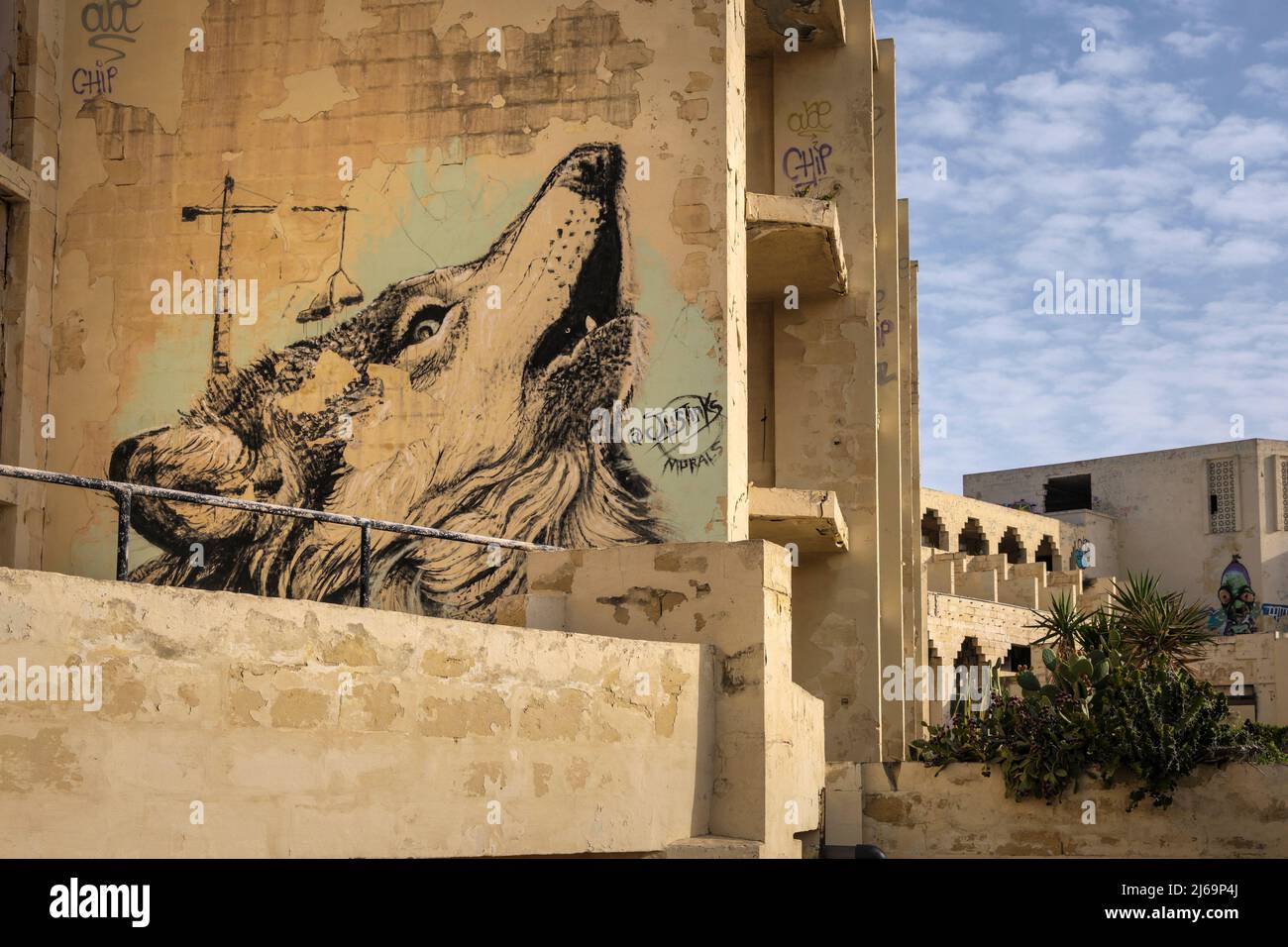 Murale di un lupo dipinto sulle mura dell'abbandonato Jerma Palace Hotel, Marsaskala, Malta Foto Stock