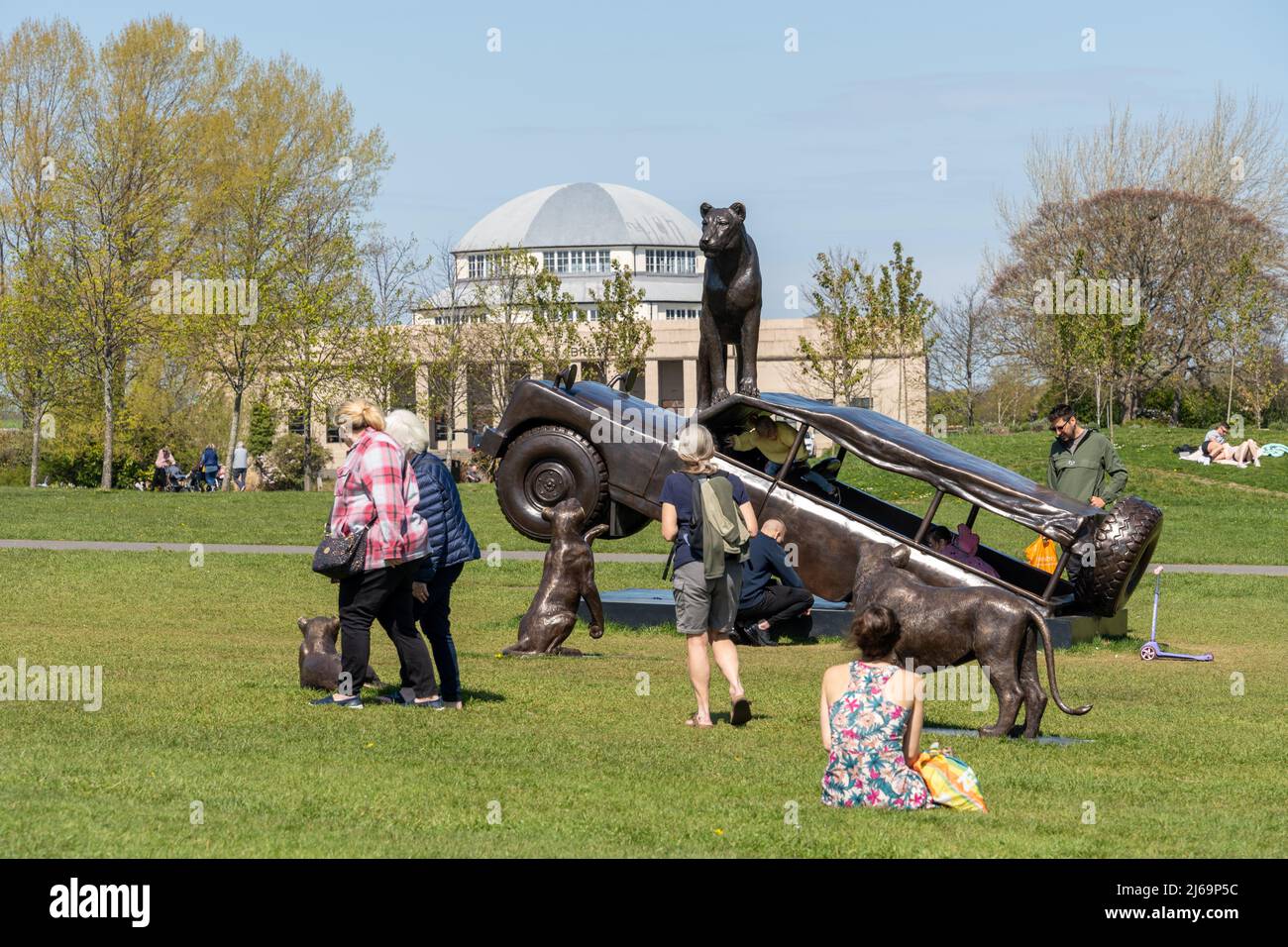 Attrazione turistica all'aperto di sculture di leoni, Born Free Forever, dall'ente benefico The Born Free Foundation, Exhibition Park, Newcastle upon Tyne, Regno Unito. Foto Stock
