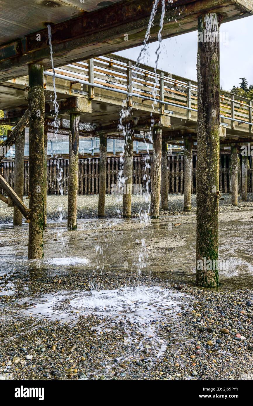 L'acqua in eccesso scorre verso il basso da sotto il molo di Redondo Beach, Washington. Foto Stock