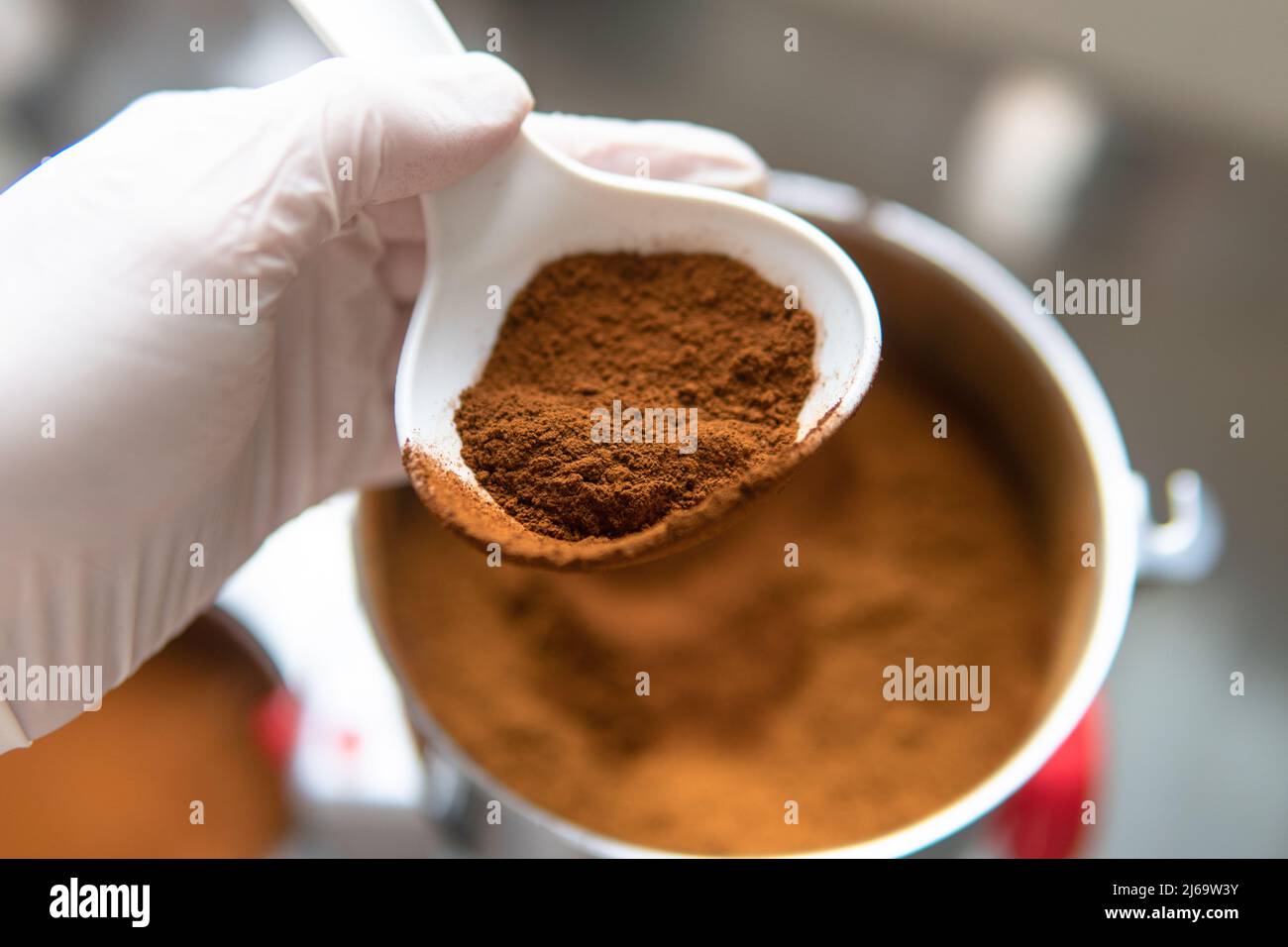 Fungo di Chaga. Fungo di Chaga medicinale. Inonotus oblichus Foto Stock