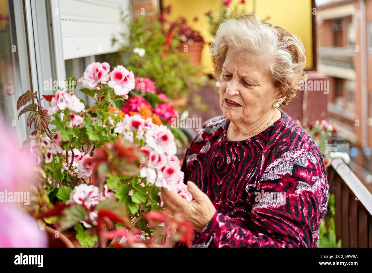 Senior Donna con fiori in un giardino estivo Foto Stock