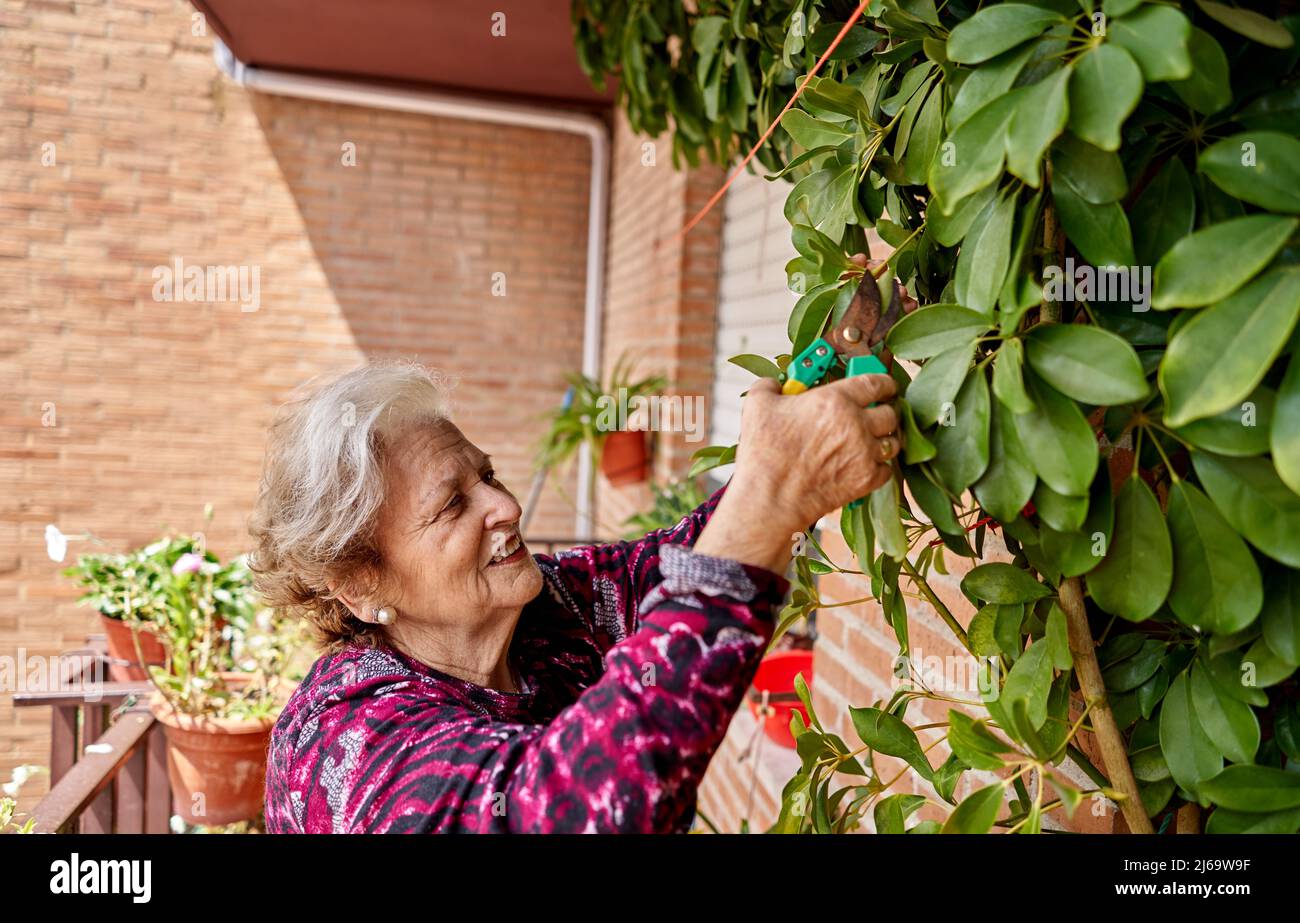 Donna felice anziana che lavora nel suo giardino Foto Stock