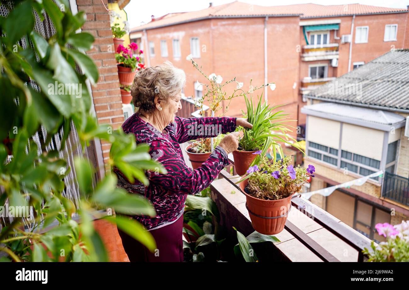 Senior Donna con fiori Foto Stock