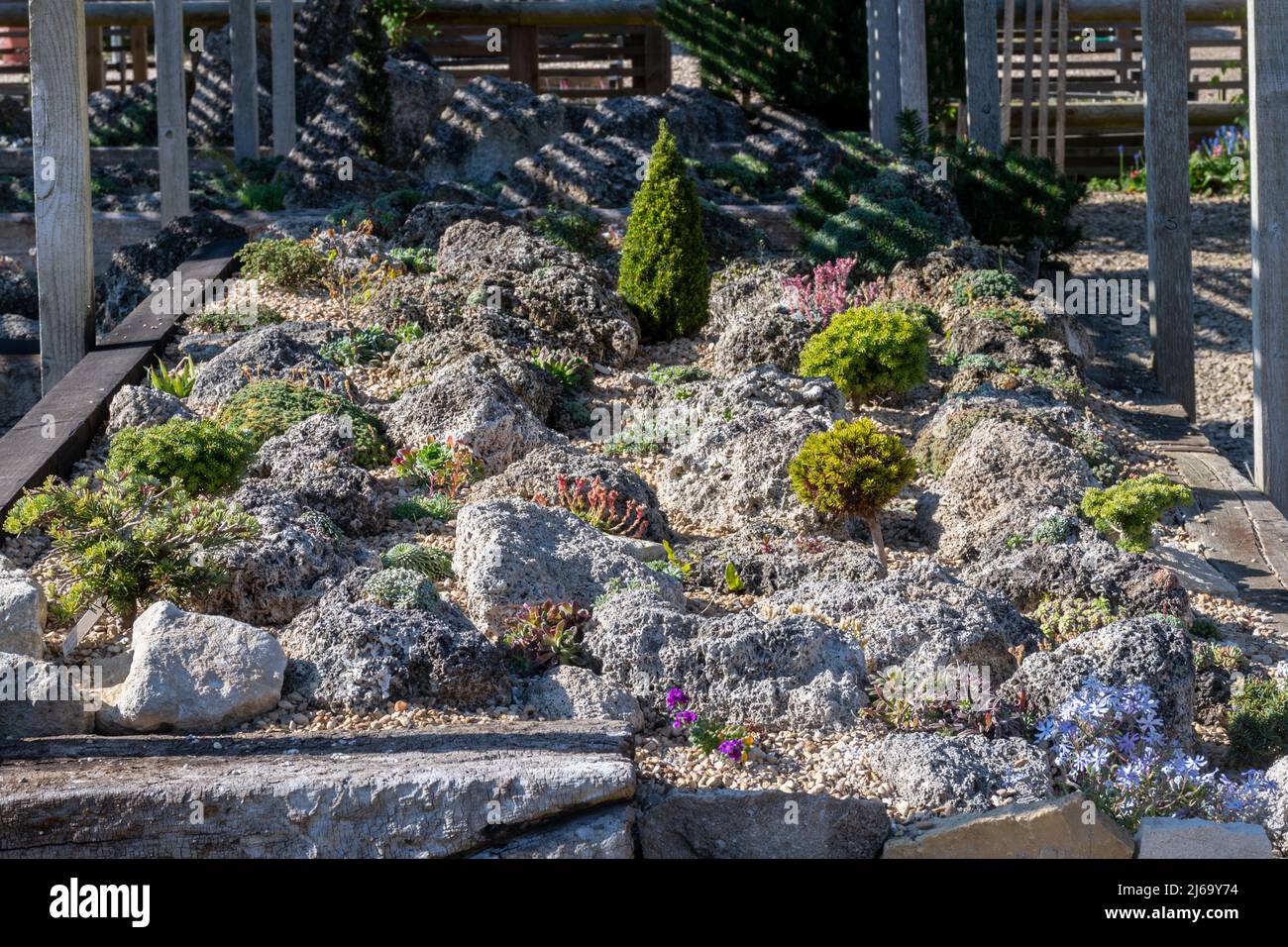 Collezione di piante alpine in mostra presso Waterperry Gardens, Oxfordshire, Inghilterra, Regno Unito Foto Stock