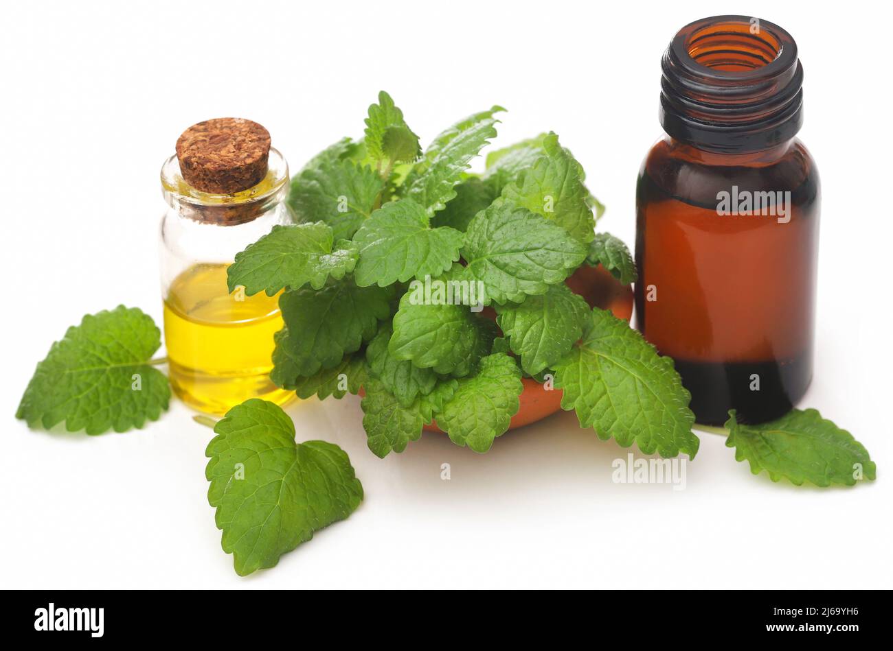 Foglie di balsamo al limone con olio essenziale estratto in bottiglia su sfondo bianco Foto Stock