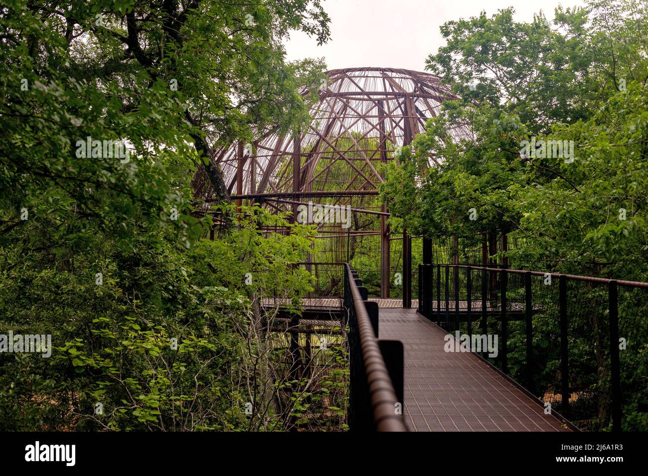 Pease Park, Austin, Texas con il nuovo Treehouse Foto Stock